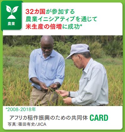 アフリカ稲作振興のための共同体 CARD