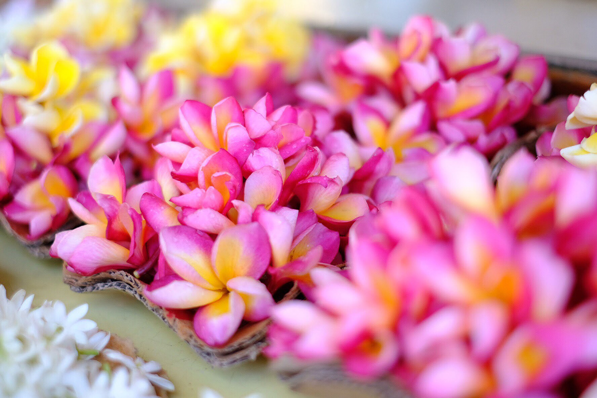 【スリランカの風景】お寺の前で売られているお供えの花