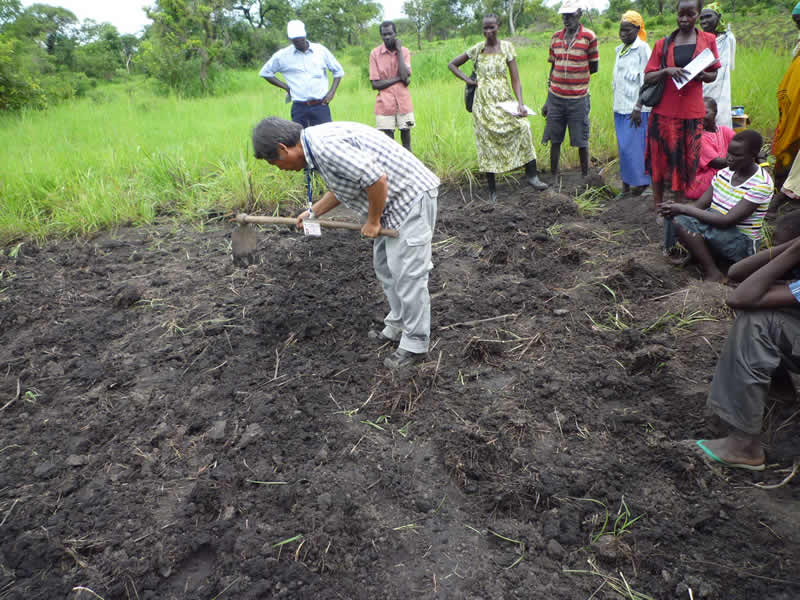 Teaching farmers new tricks near Juba