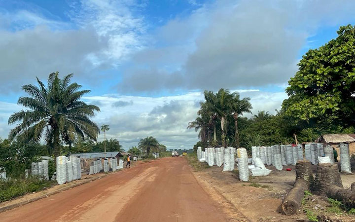 Des sacs de bois de chauffage et de charbon de bois sont alignés le long de la route principale dans la province de Kwilu. La plupart d'entre eux seront transportés à Kinshasa.