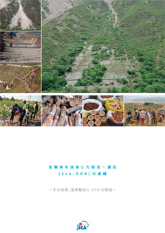 パンフレット「生態系を活用した防災・減災（Eco-DRR）の実践－その効果、国際動向とJICAの取組－」の表紙