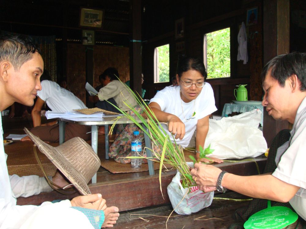 Agricultural Extension Human Resource Development Project Myanmar