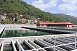 Sundarijal Water Treatment Plant constructed with Japanese ODA loan