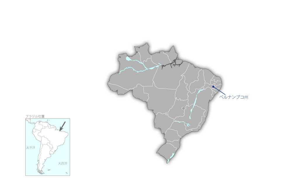 東北ブラジル健康なまちづくりプロジェクトの協力地域の地図