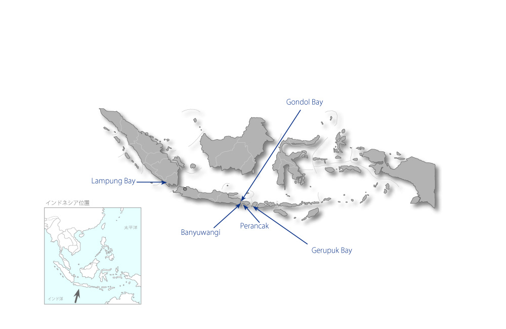 マリカルチャビッグデータの生成・分析による水産資源の持続可能な生産と安定供給の実現の協力地域の地図