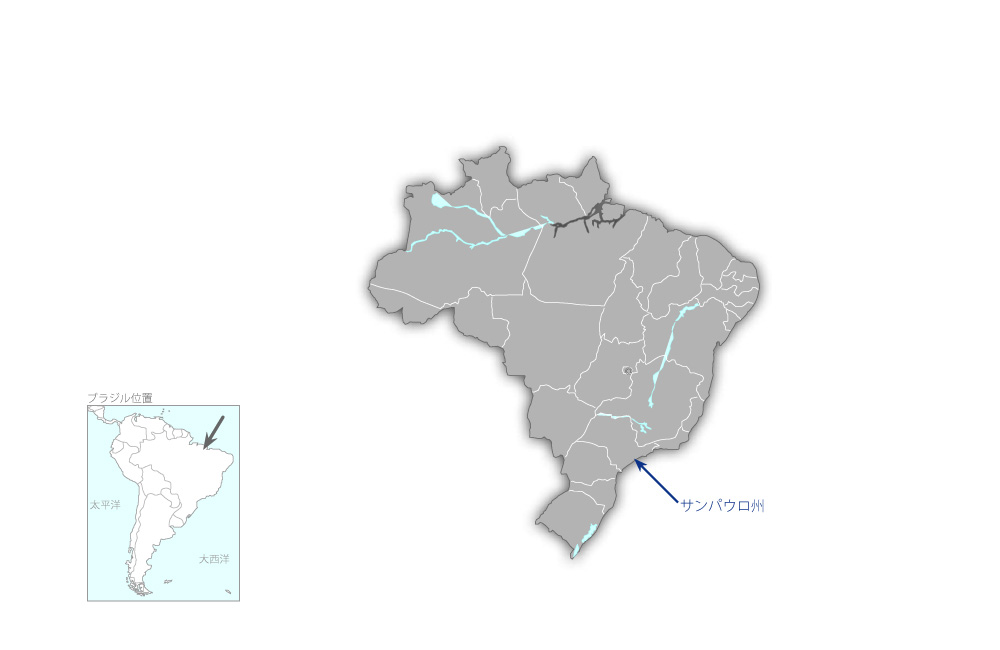 ブラジルと日本の薬剤耐性を含む真菌感染症診断に関する研究とリファレンス協力体制強化プロジェクトの協力地域の地図