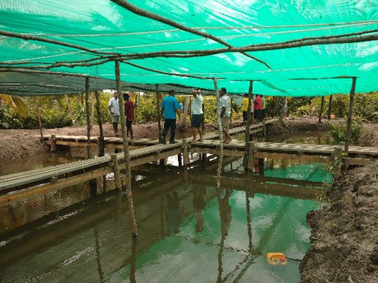 ノコギリガザミの畜養池。プロジェクトと協力して、ヴヌク村の人びとが掘った。
