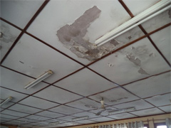 実験室棟：サイクロンによる損傷状況　サイクロン・エロイーズによって屋根シートが損傷し、天井に雨漏りの跡が散見されます。