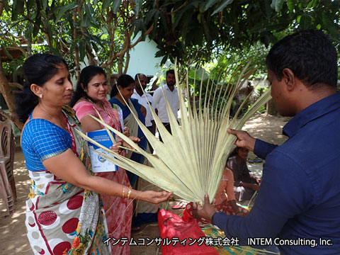 手工芸品に利用されるパルメラヤシの葉(写真提供：インテムコンサルティング株式会社）