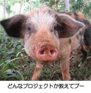 �ǂ�ȃv���W�F�N�g�������ău�[