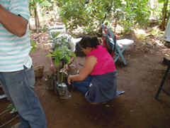Foto