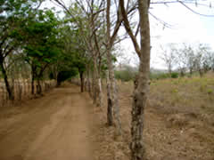 Febrero, 2010