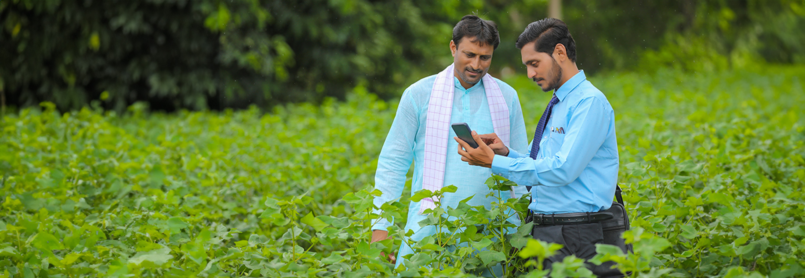 Exploring Innovative Digital Pathways for Horticulture Market Linkage in Himachal Pradesh and Uttarakhand