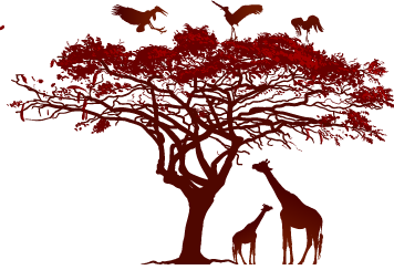 池上彰と歩く アフリカビジネス 新参者 ニッポンにチャンス