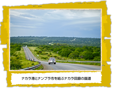 池上彰と歩く アフリカビジネス 新参者 ニッポンにチャンス 池上彰と歩く アフリカビジネス 新参者 ニッポンにチャンス