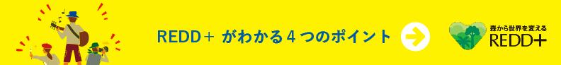 REDD+がわかる4つのポイント