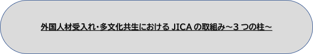 外国人材受入れ・多文化共生におけるJICAの取組み～3つの柱～