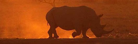 Botswana
