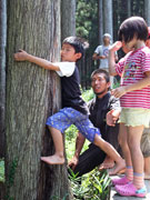 鳥取県智頭町でサドベリースクール事業を立ち上げる 人 明日へのストーリー Jica中国 Jica