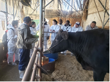 生産者との会話の様子や食肉工場などの見学の様子