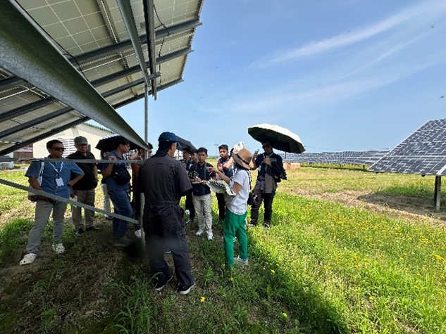 太陽光発電やバイオマス発電、小水力電力発電所視察の様子。規模感や地域の自然環境を体感し、自国での活用を検討します