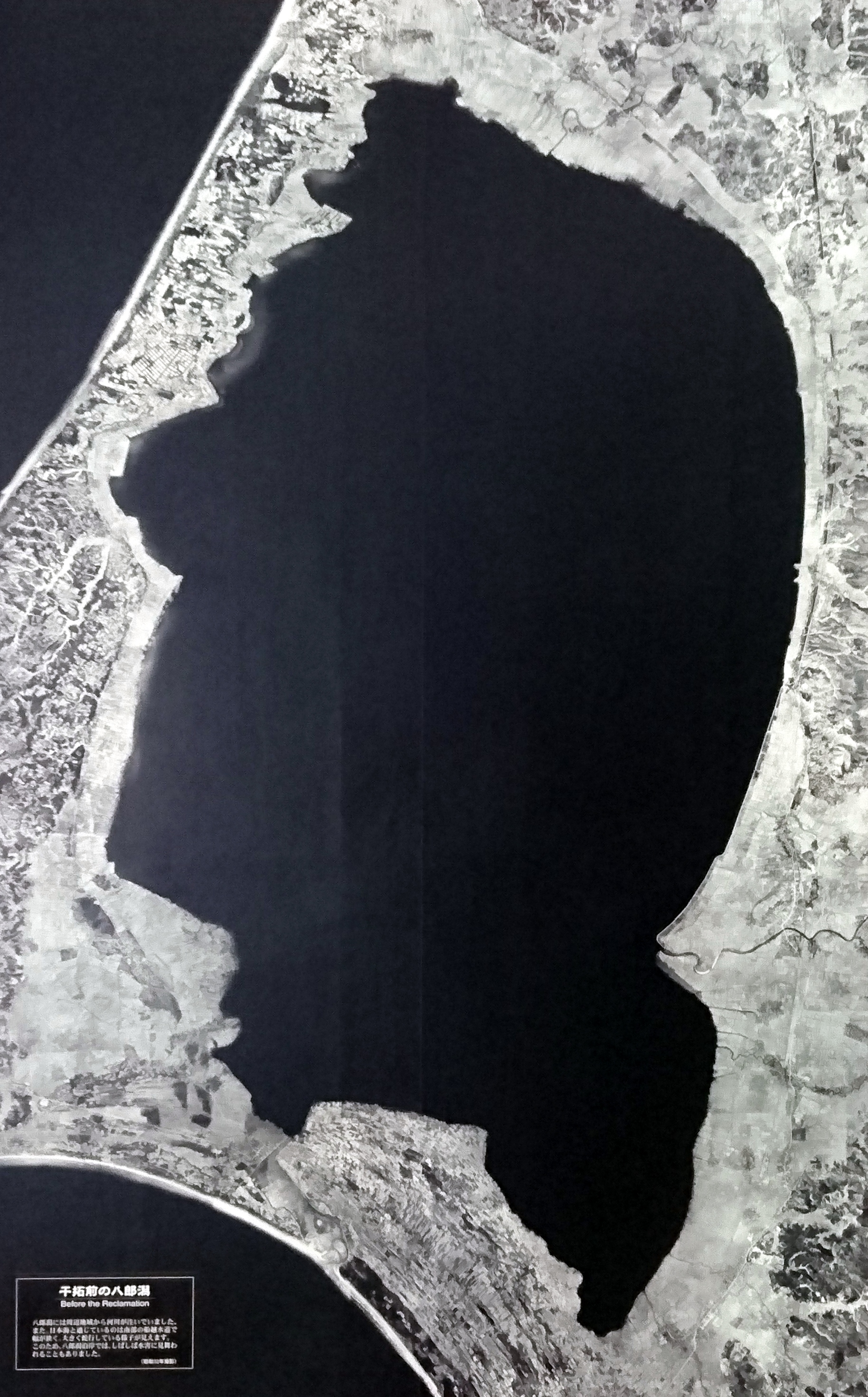 干拓前の八郎潟。（大潟村干拓博物館展示物より）