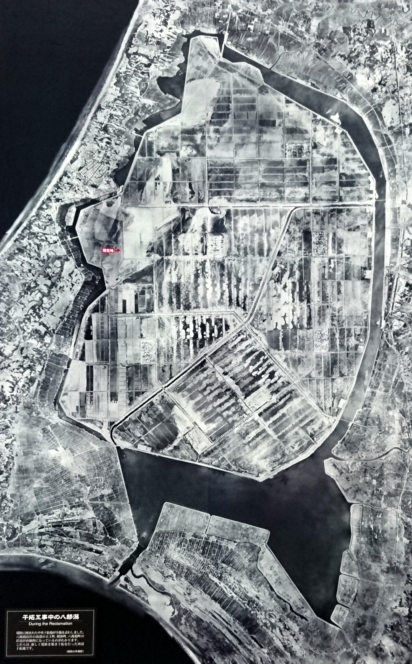 干拓工事中の八郎潟。堤防に囲まれた干拓地が農地として運用されていることがわかります。（大潟村干拓博物館展示物より）