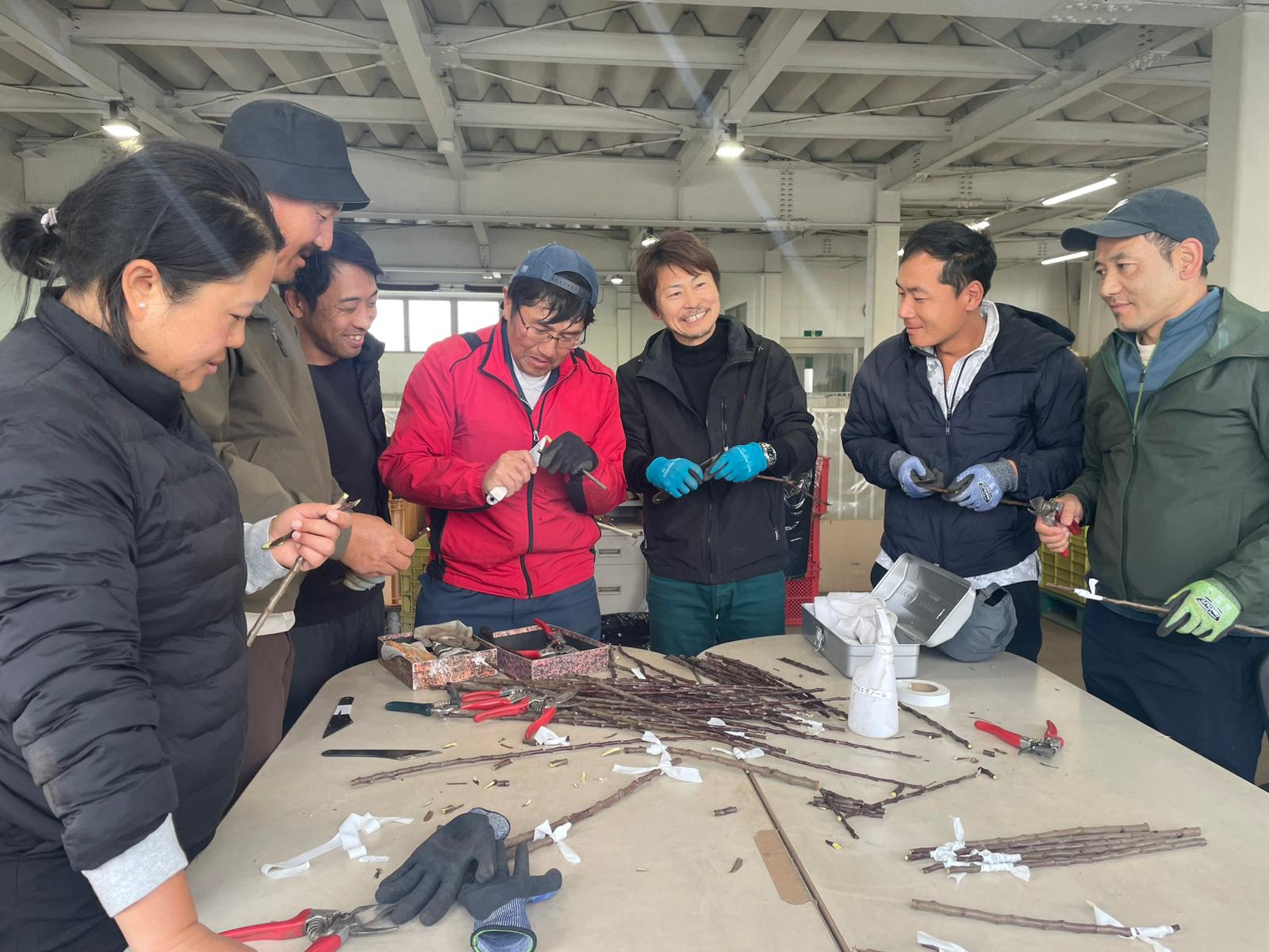 原田種苗での接ぎ木指導