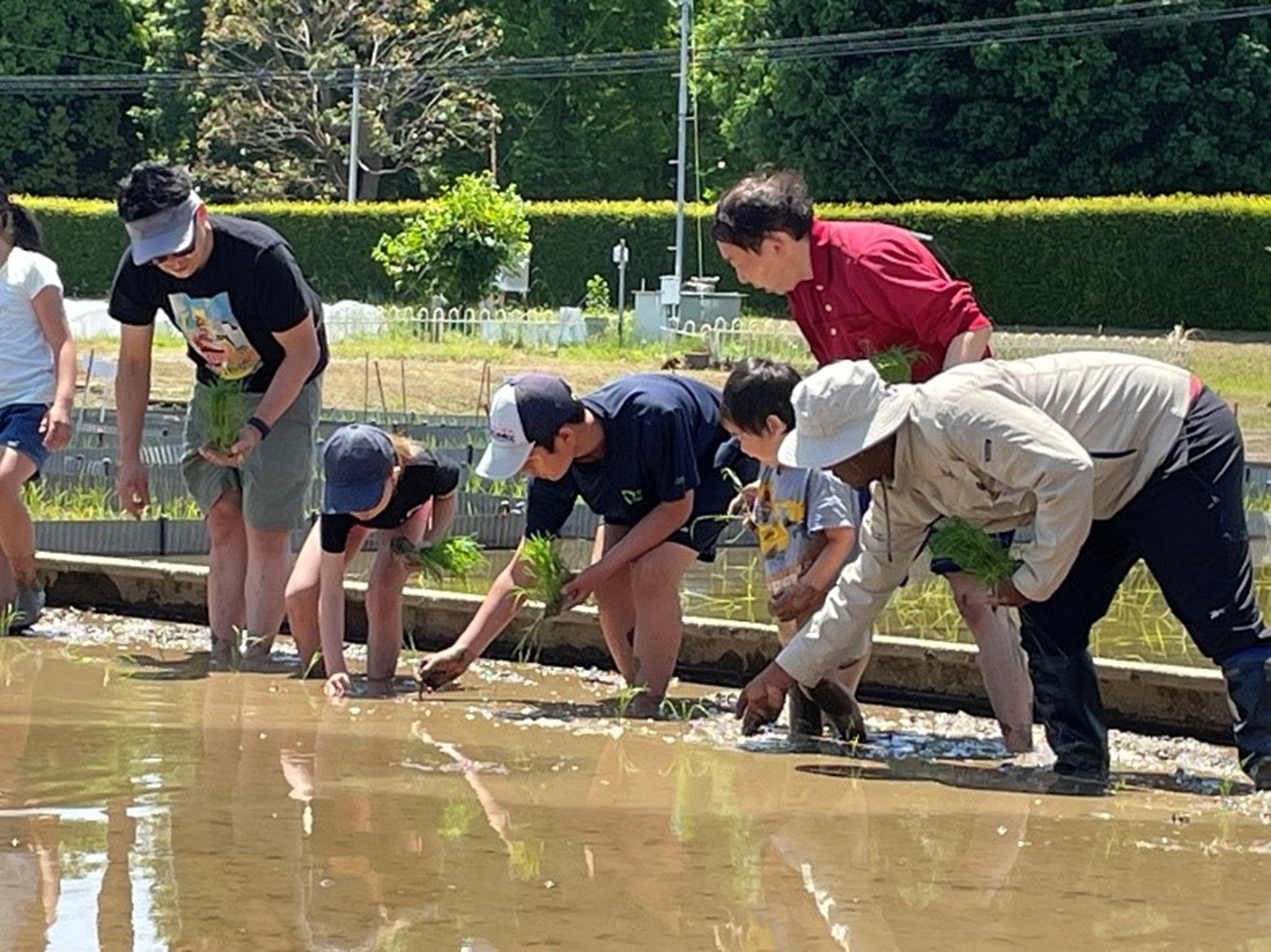 田植開始！3