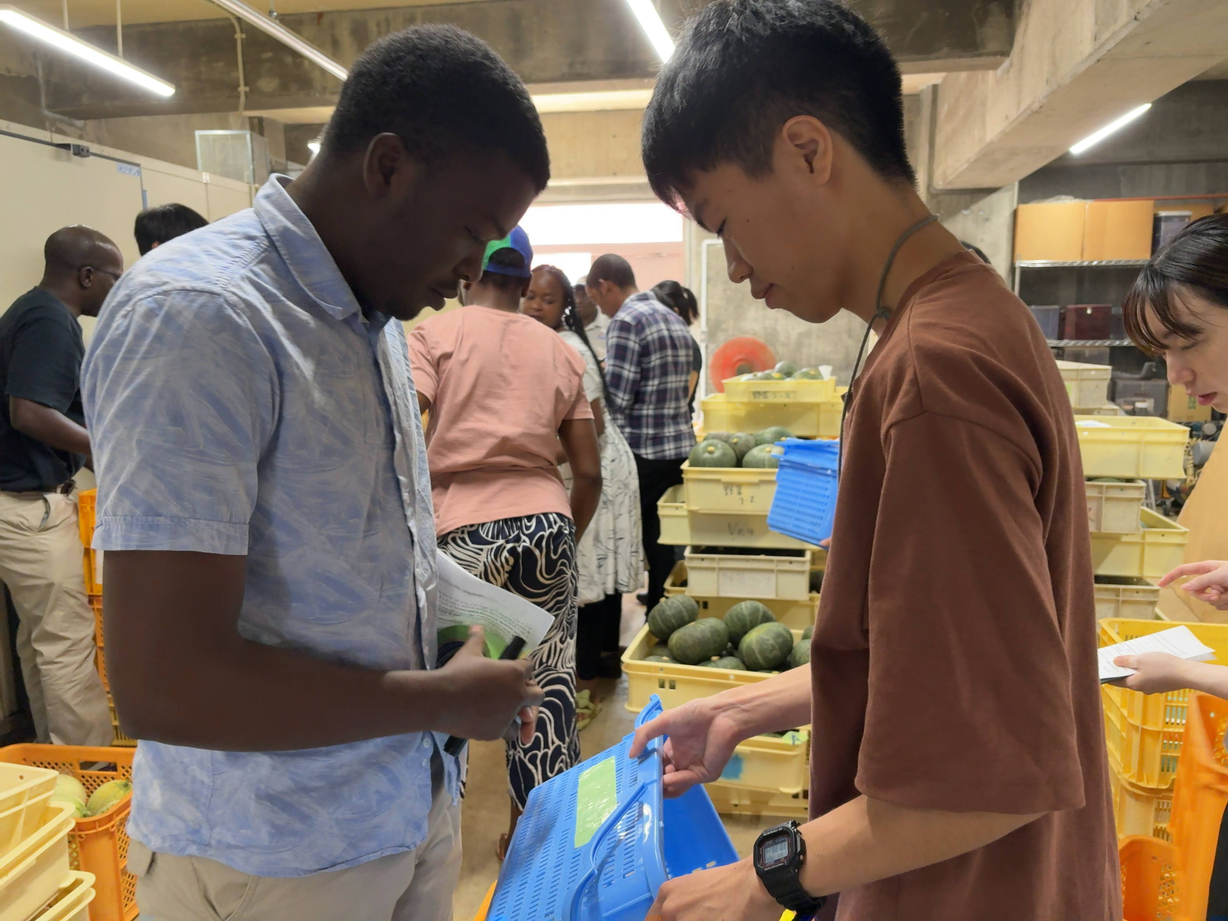 鮮度保持試験の作業を行う様子