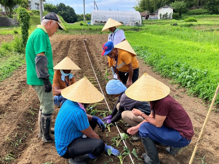 日本での野菜栽培研修の様子