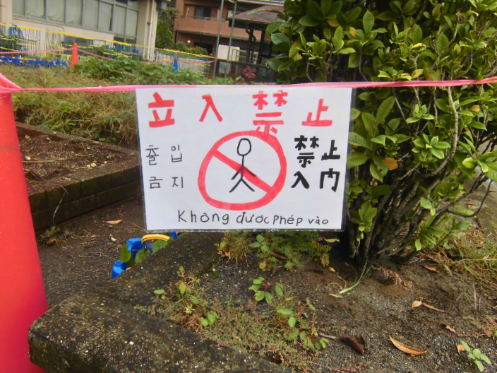 【画像】