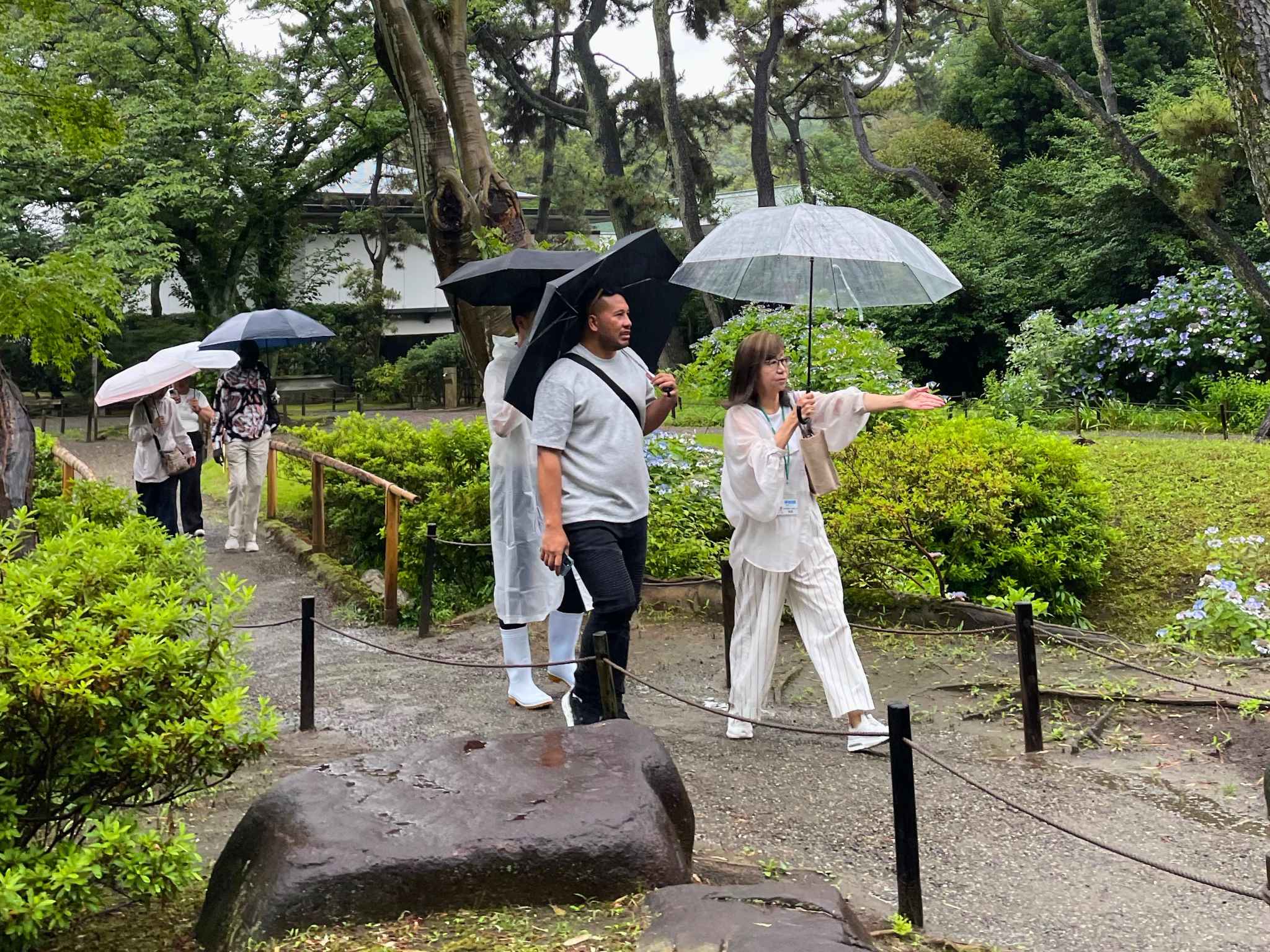 【画像】