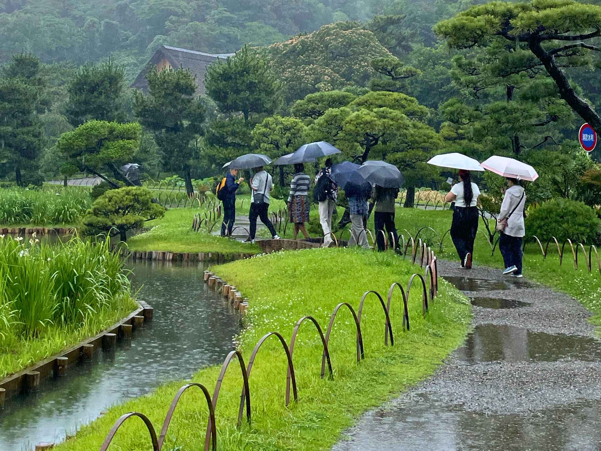 【画像】