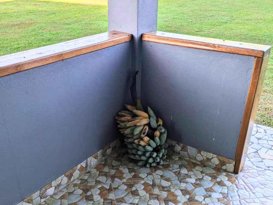 【画像】