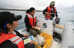 Monitoring the marine water quality