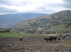 Farming area of Chimborazo