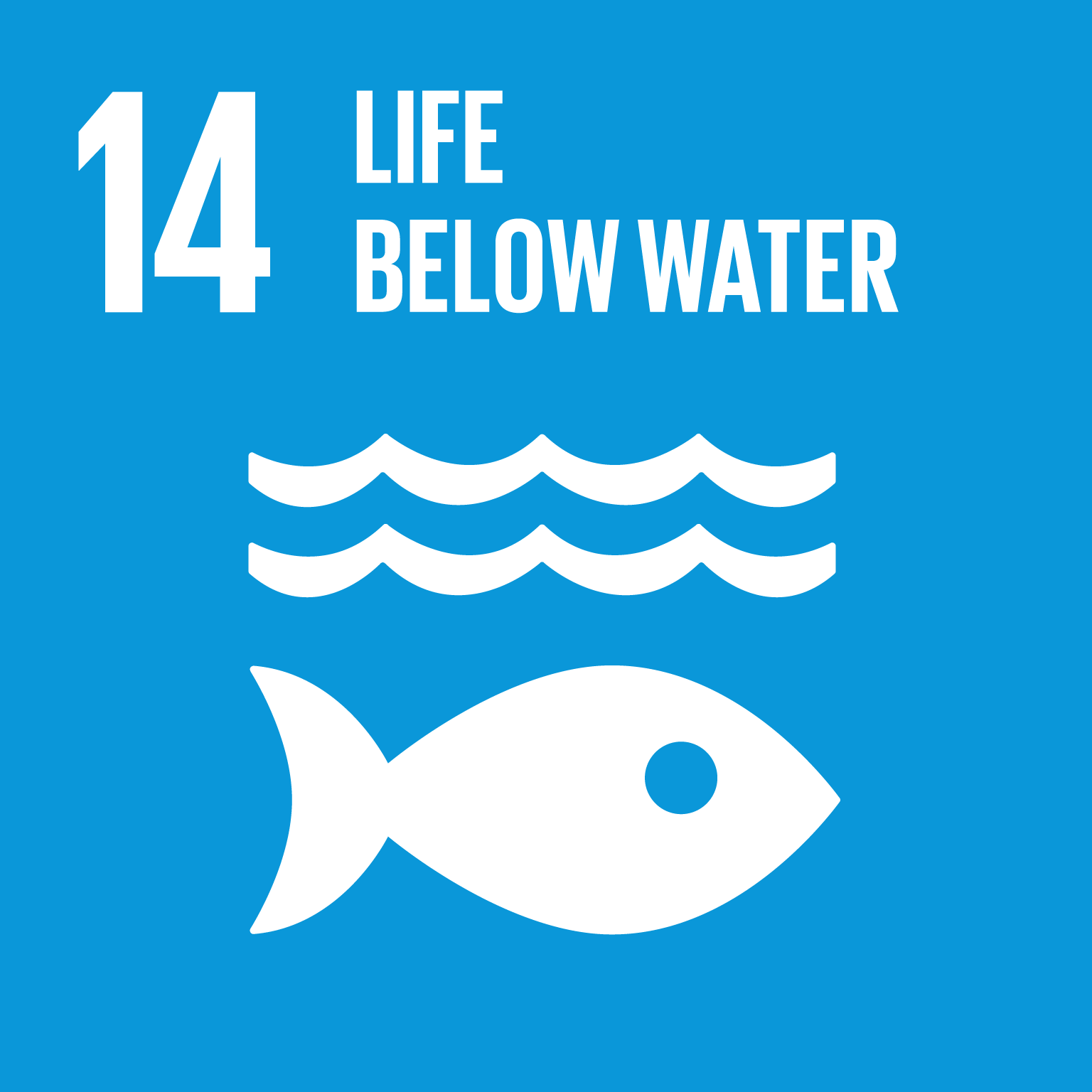 【SDGs logo】LIFE BELOW WATER