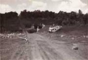 A migrant colony under construction (Pirapó, Paraguay in the 1960s)