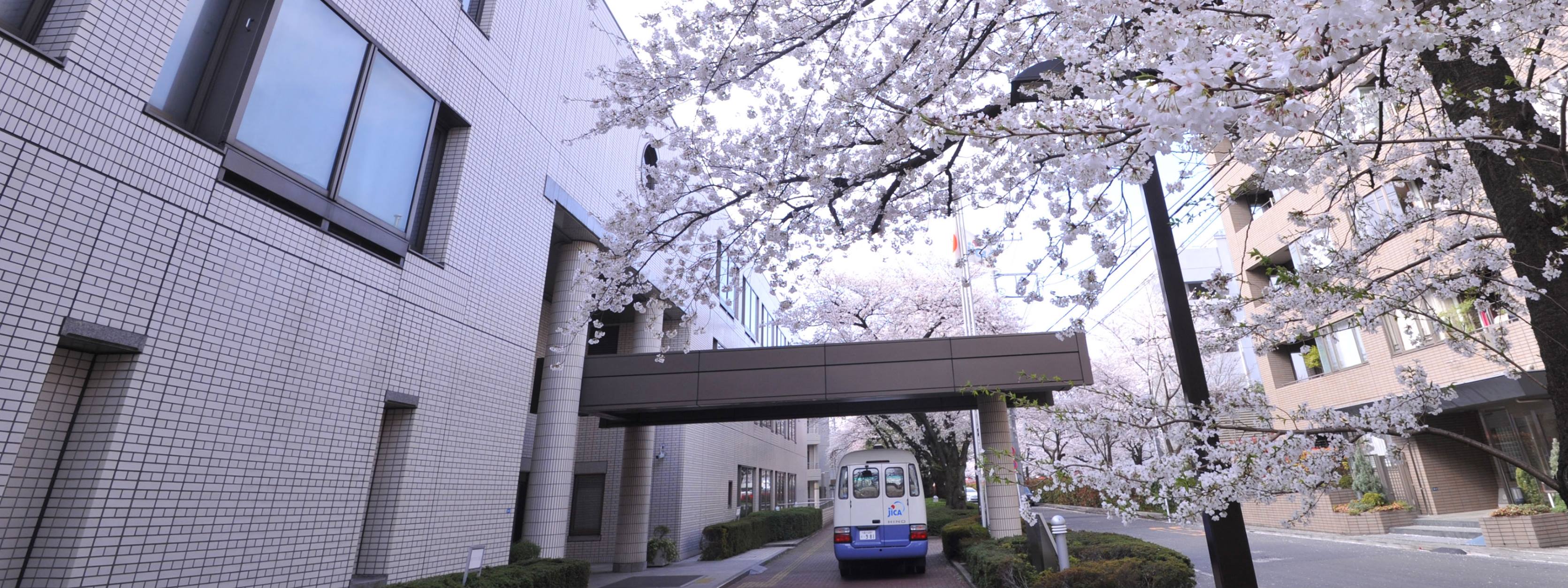 Tokyo Center