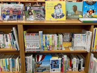 Books for understanding SDGs.