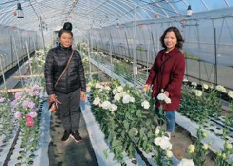The Vietnamese from Son La Province visited Kasama City in Ibaraki for learning flower cultivation to create future local specialties of their village