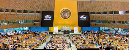 Milestone for the SDGs