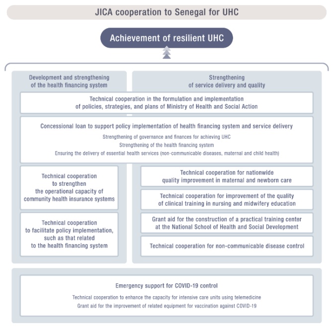 COVID-19 zugzwang: Potential public health moves towards population (herd) immunity – Citizens Concerned About Pandemic Strategy (CCAPS)