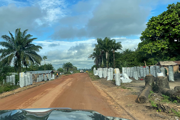 Bags of firewood and charcoal are lined up along the main road in Kwilu Province.