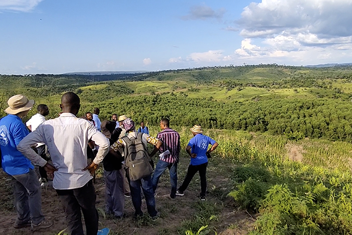 Forest grown by agroforestry