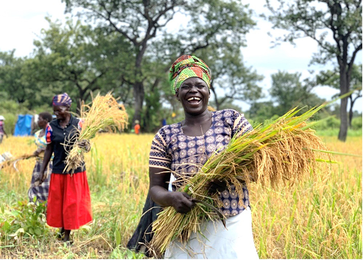 Refugees in Uganda taking part in a project that teaches rice cultivation techniques. 