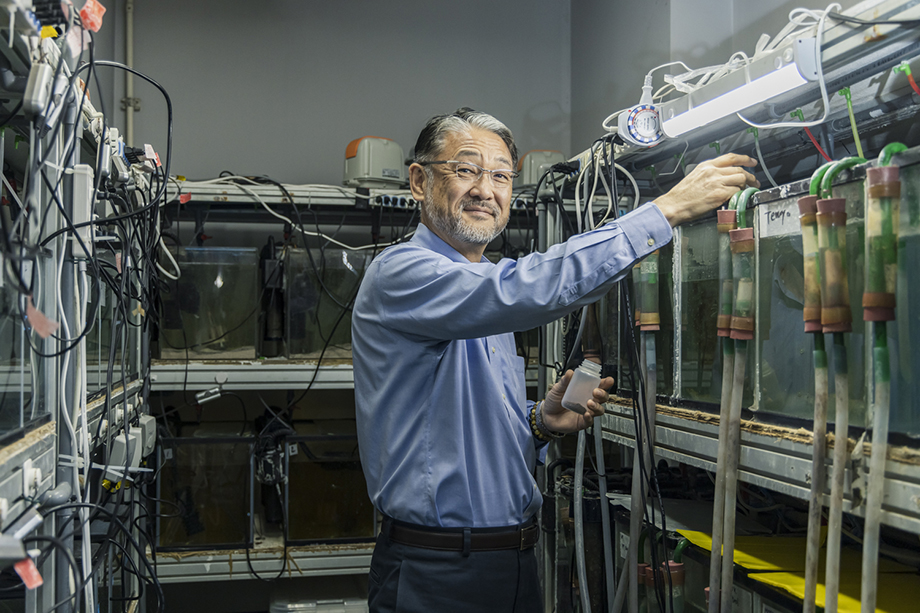 Professor Ikuo Hirono, Tokyo University of Marine Science and Technology (TUMSAT).