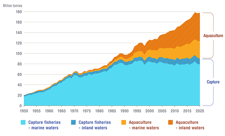 Trends in world fishery and aquaculture production