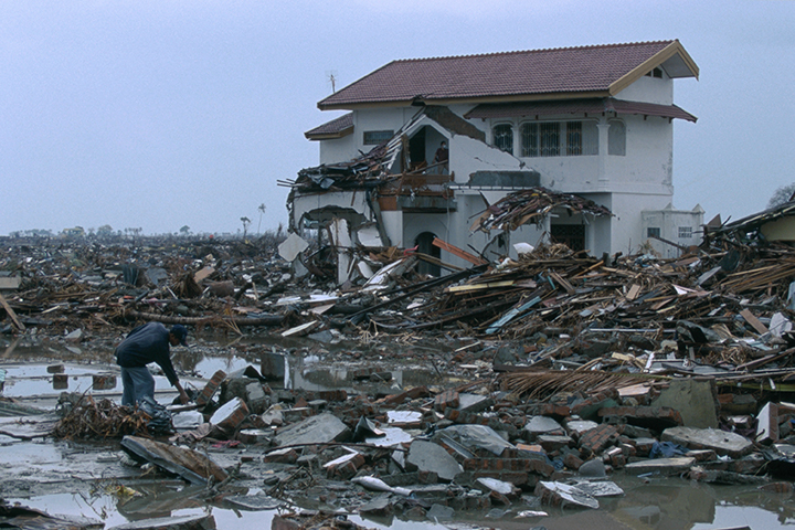A residential area along the coast that was destroyed by the earthquake and tsunami.